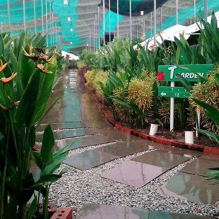 T Garden Villa Pantai Cenang  Kültér fotó