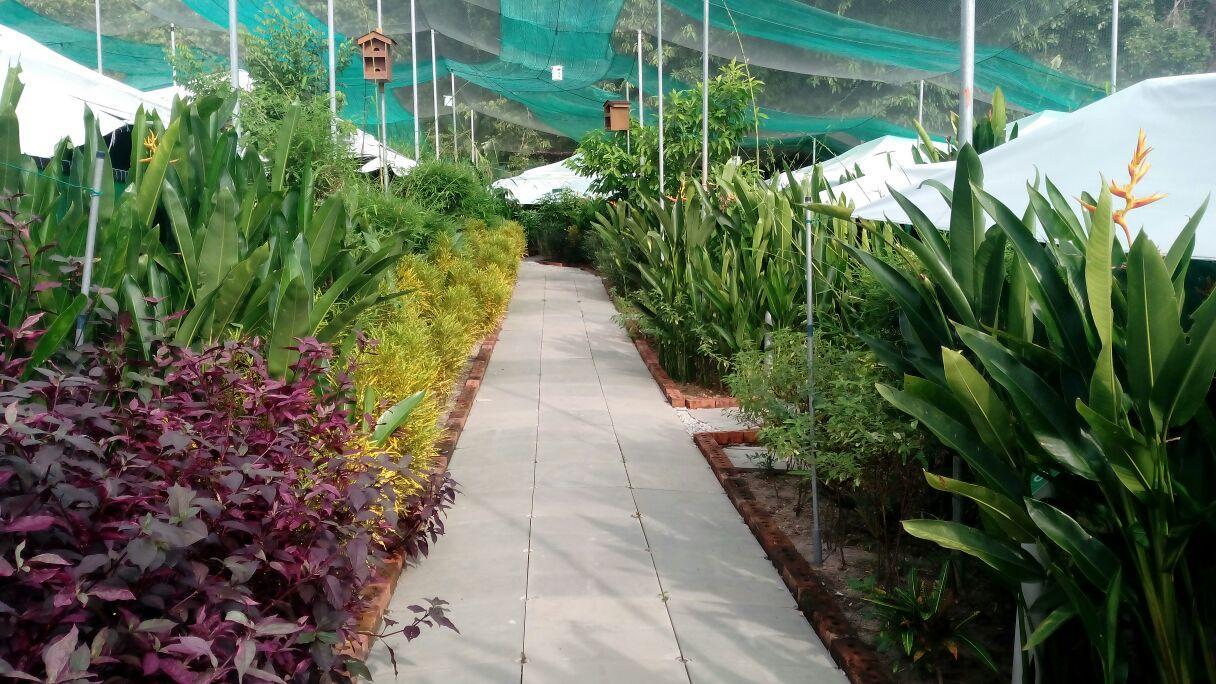 T Garden Villa Pantai Cenang  Kültér fotó