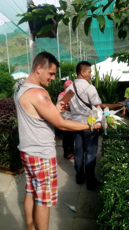 T Garden Villa Pantai Cenang  Kültér fotó