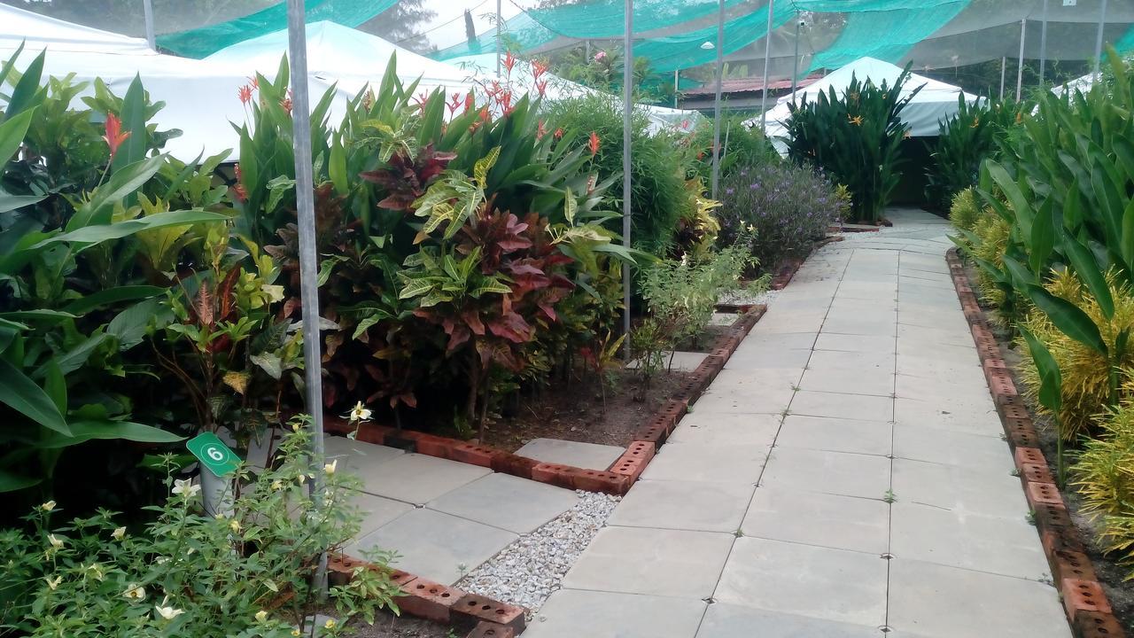 T Garden Villa Pantai Cenang  Kültér fotó