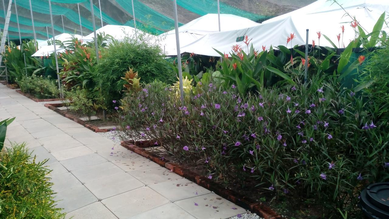 T Garden Villa Pantai Cenang  Kültér fotó