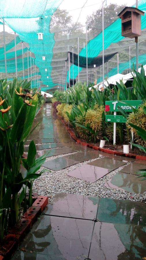 T Garden Villa Pantai Cenang  Kültér fotó