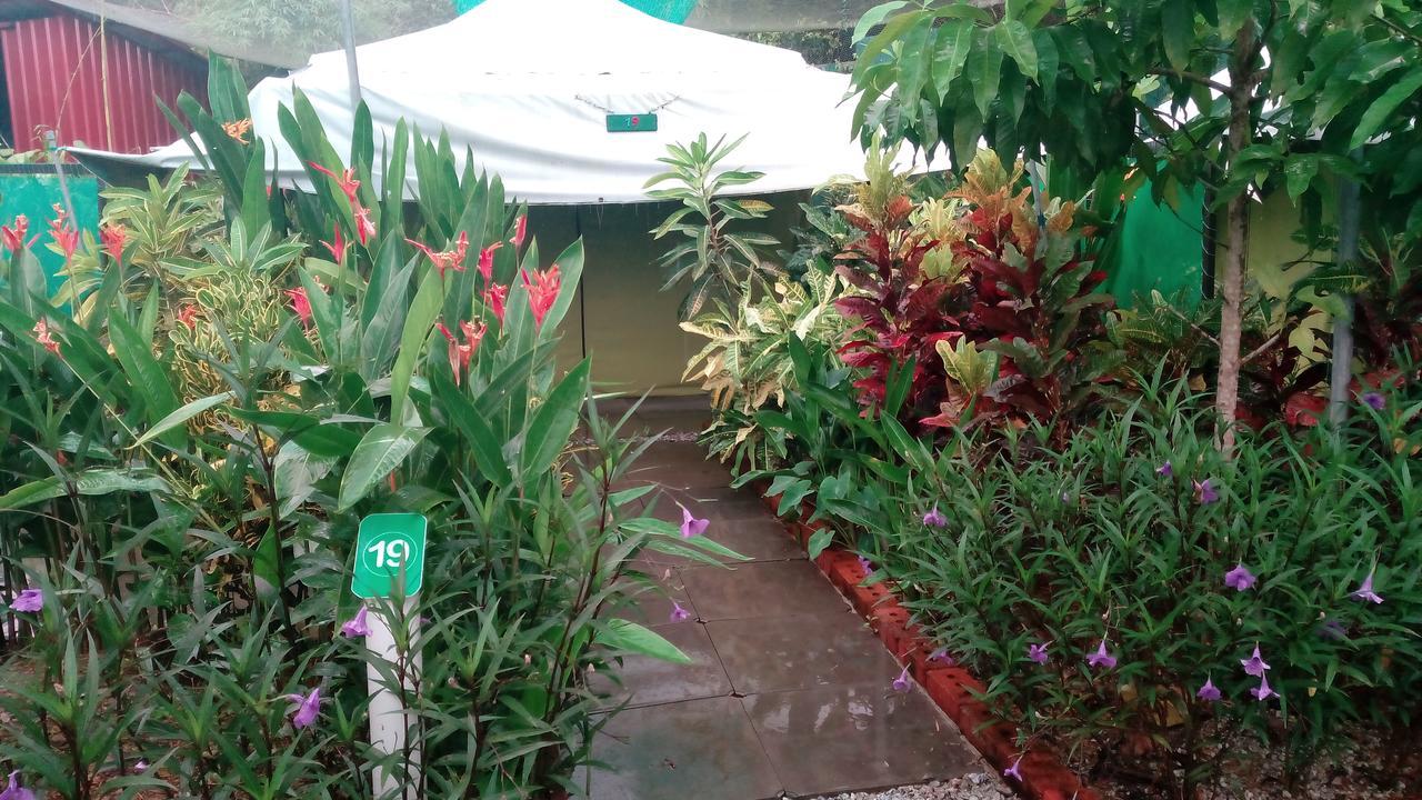 T Garden Villa Pantai Cenang  Kültér fotó