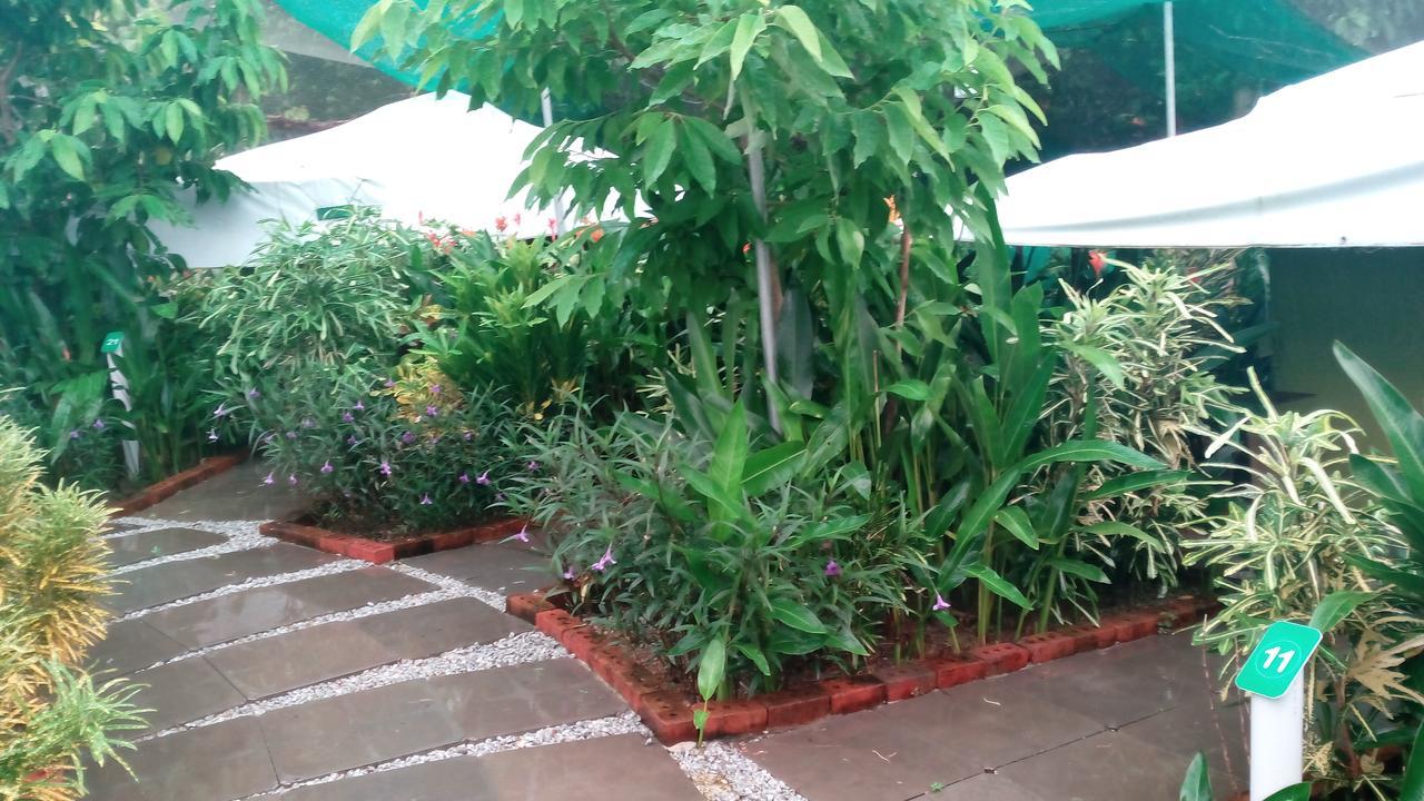T Garden Villa Pantai Cenang  Kültér fotó