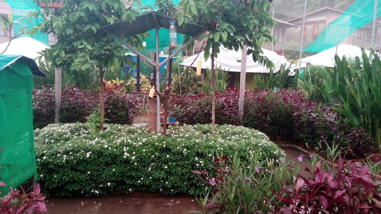 T Garden Villa Pantai Cenang  Kültér fotó
