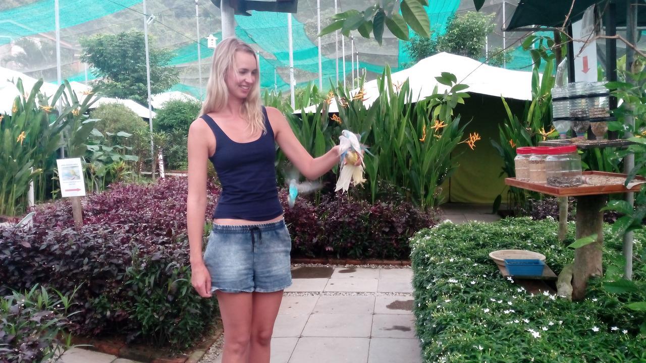 T Garden Villa Pantai Cenang  Kültér fotó